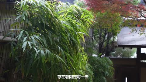 VIP秘汤接待 H罩杯女将的爆乳服务 佐山爱 WAAA-388