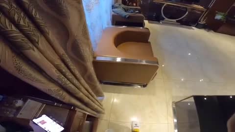 新约极品00后苏州大学校花只有暴力操服她才能宣誓我的性主权